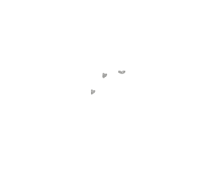 Wenige Tigermücken
